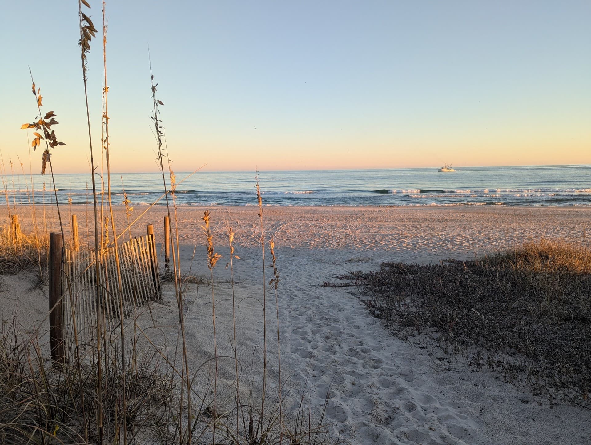 Beach access path lined with sea oats leading to the ocean at sunrise, with a boat offshore.